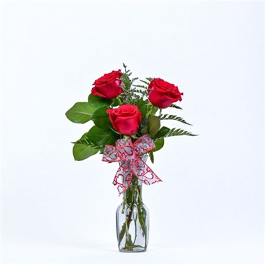 resize_3